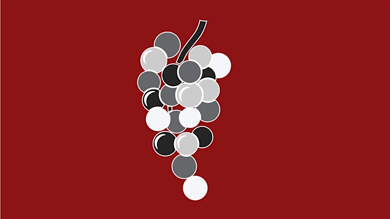 Why is the name “Sauvignon” attached to both red Cabernet Sauvignon and white Sauvignon Blanc?