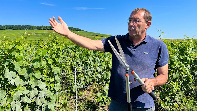 Falling for Champagne (Again): Part 1